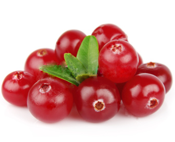 طهي مربى lingonberry