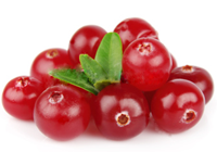 lingonberry